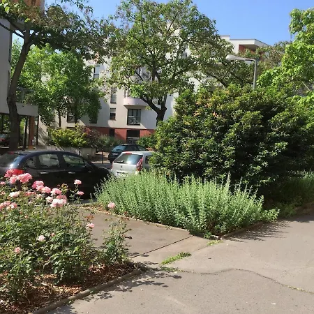 T2 Confort Tv 55' Avec Canal Series Netflix Dazen Bein Sport Apple Tv Ocs Paramount Prime Video *