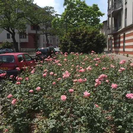 T2 Confort Tv 55' Avec Canal Series Netflix Dazen Bein Sport Apple Tv Ocs Paramount Prime Video Lejlighed