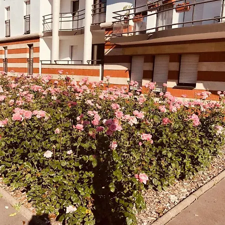 T2 Confort Tv 55' Avec Canal Series Netflix Dazen Bein Sport Apple Tv Ocs Paramount Prime Video *