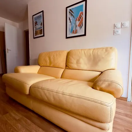 T2 Confort Tv 55' Avec Canal Series Netflix Dazen Bein Sport Apple Tv Ocs Paramount Prime Video Apartman Nancy