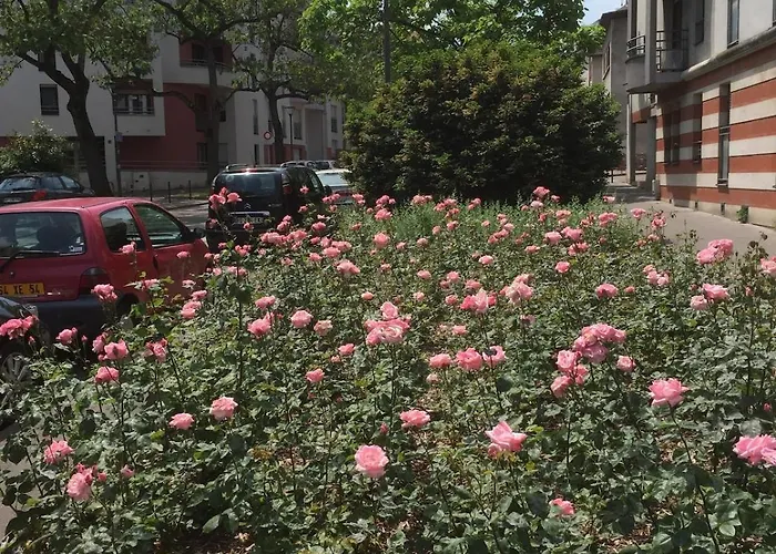 T2 Confort Tv 55' Avec Canal Series Netflix Dazen Bein Sport Apple Tv Ocs Paramount Prime Video Daire