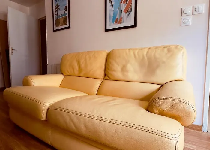 T2 Confort Tv 55' Avec Canal Series Netflix Dazen Bein Sport Apple Tv Ocs Paramount Prime Video Daire Nancy