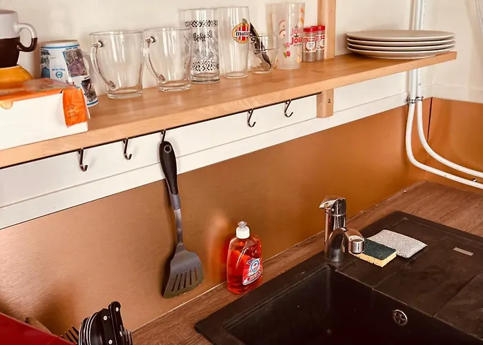 T2 Confort Tv 55' Avec Canal Series Netflix Dazen Bein Sport Apple Tv Ocs Paramount Prime Video Daire