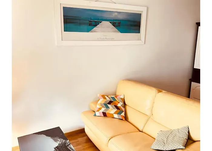 T2 Confort Tv 55' Avec Canal Series Netflix Dazen Bein Sport Apple Tv Ocs Paramount Prime Video Daire *